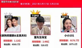 海归网红爆料视频播放大全,揭秘海外生活与回国后的真实状态