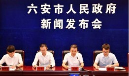 六安媒体爆料新闻事件,揭秘背后惊人真相